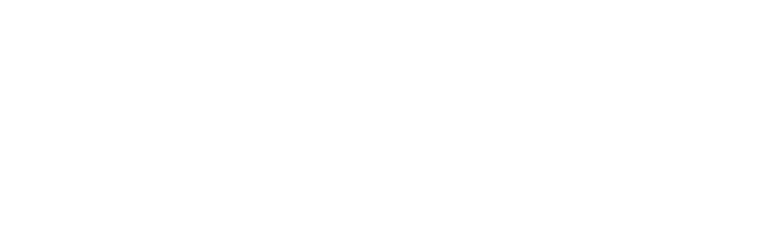 Syntelli TMS Driver Portal